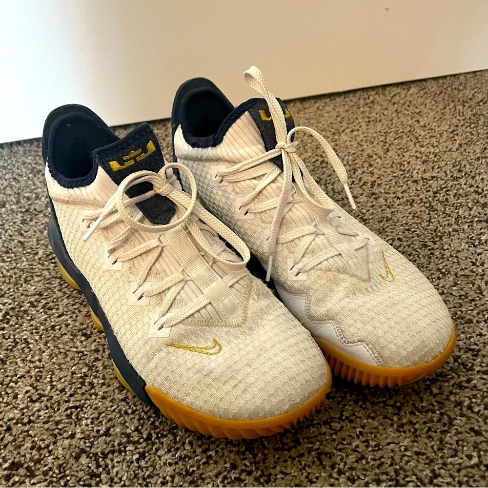 Nike LeBron 16 Low